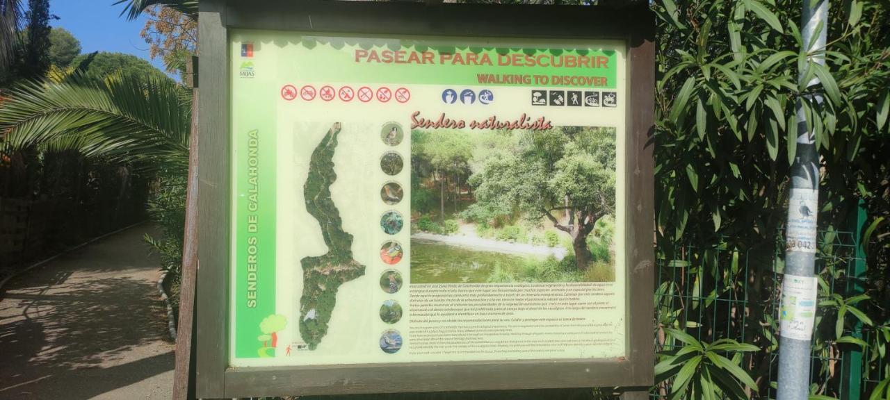 Beach Forest Paradise มาร์เบยา ภายนอก รูปภาพ