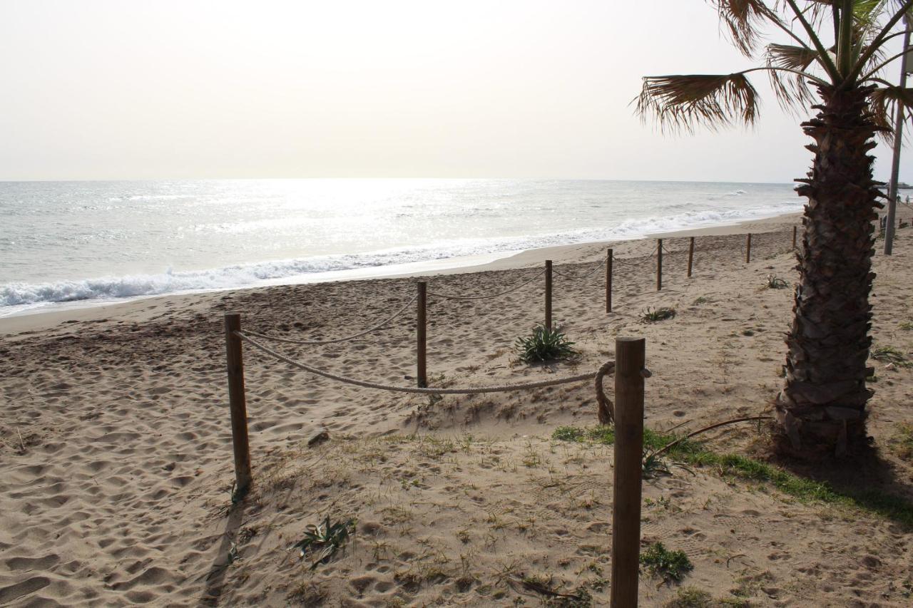 Beach Forest Paradise มาร์เบยา ภายนอก รูปภาพ